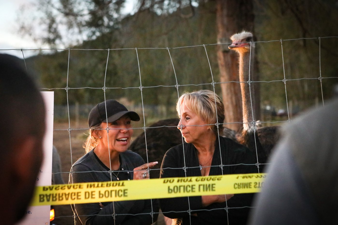CFIA says B.C. ostrich farmers must leave by Tuesday or face arrest | iNFOnews.ca