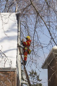 Ontario government hands out food cards to ice storm victims who lost food | iNFOnews.ca Ontario government hands out food cards to ice storm victims who lost food | iNFOnews.ca