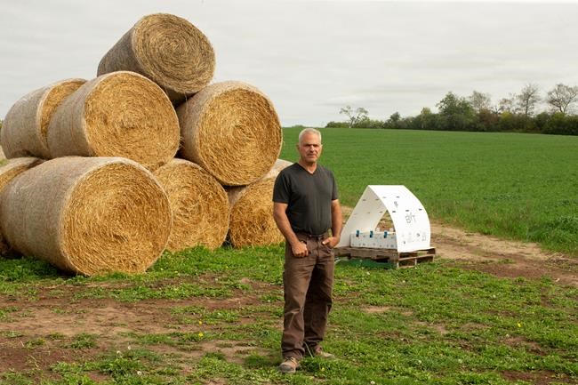 Canadian company enlists bees to deliver crop protection, plans rapid expansion | iNFOnews.ca