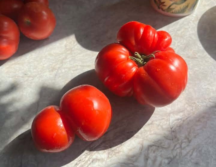 iN PHOTOS: Weird and wacky fruit and veggies in Okanagan, Kamloops | iNFOnews.ca iN PHOTOS: Weird and wacky fruit and veggies in Okanagan, Kamloops | iNFOnews.ca