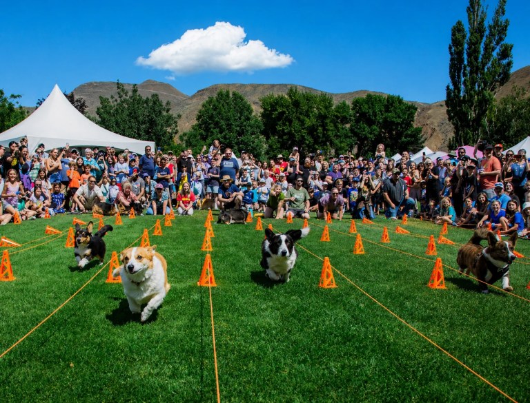 Overlanders Day brings corgi races, live entertainment and family fun to Kamloops | iNFOnews.ca