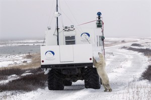 CP27385690