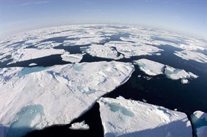 Record sea ice loss in Arctic causing big ecosystem changes: study | iNFOnews.ca CP22044557