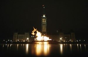 CP20495202