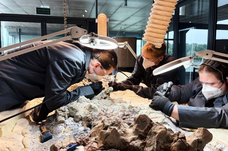 2,000 volunteers join a painstaking effort to restore massive skeleton of prehistoric predator | iNFOnews.ca