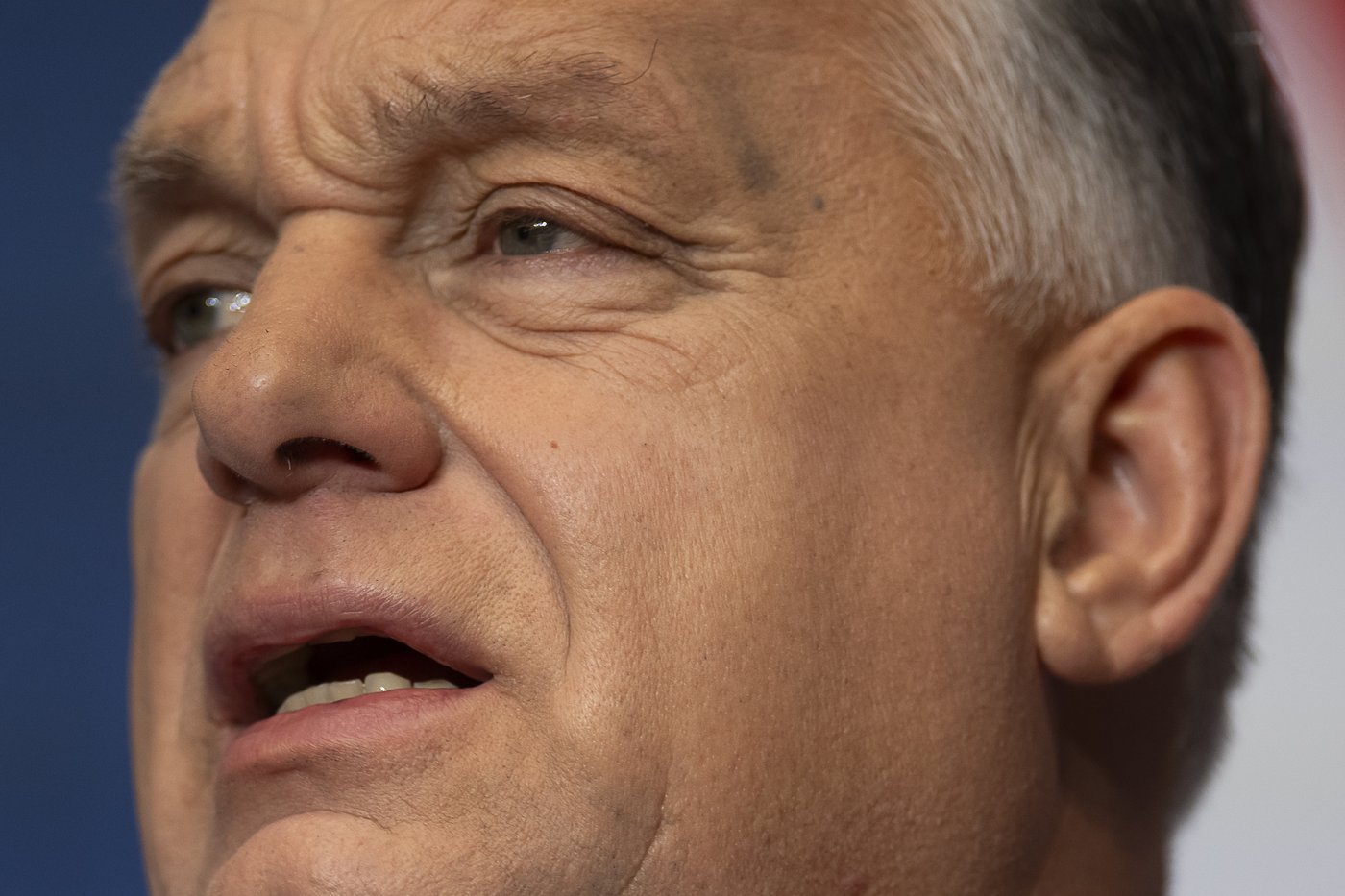 Hungary's Orbán blames immigration and EU for the deadly attack in Germany | iNFOnews.ca