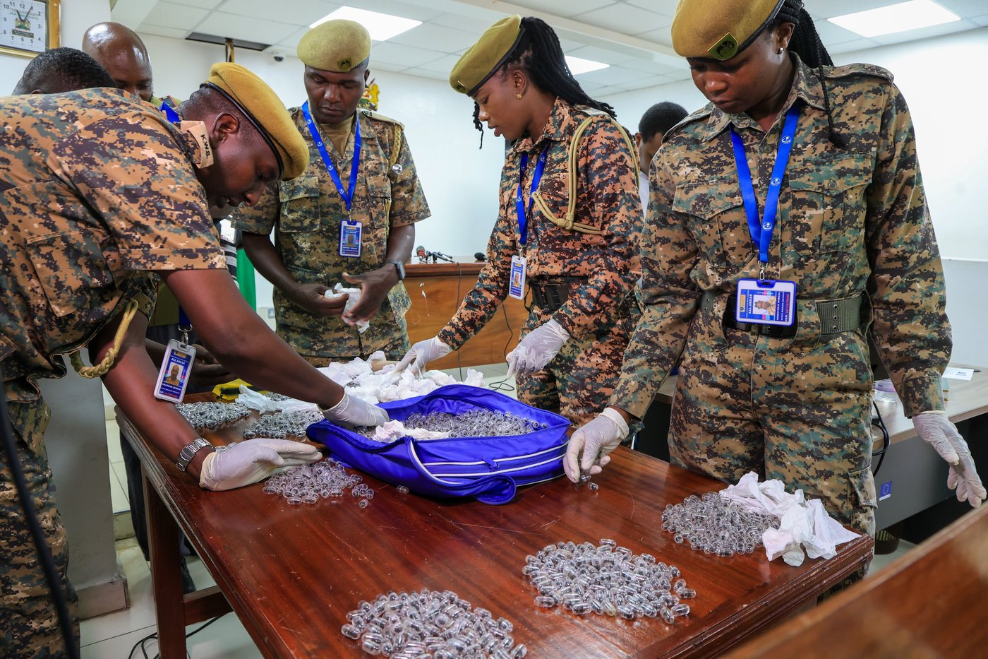 2 men found with hundreds of ants are charged with illegally dealing in wildlife in Kenya | iNFOnews.ca