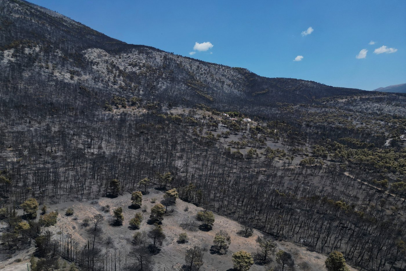Firefighters scramble to contain fires outside Athens before winds and high temperatures return | iNwheels