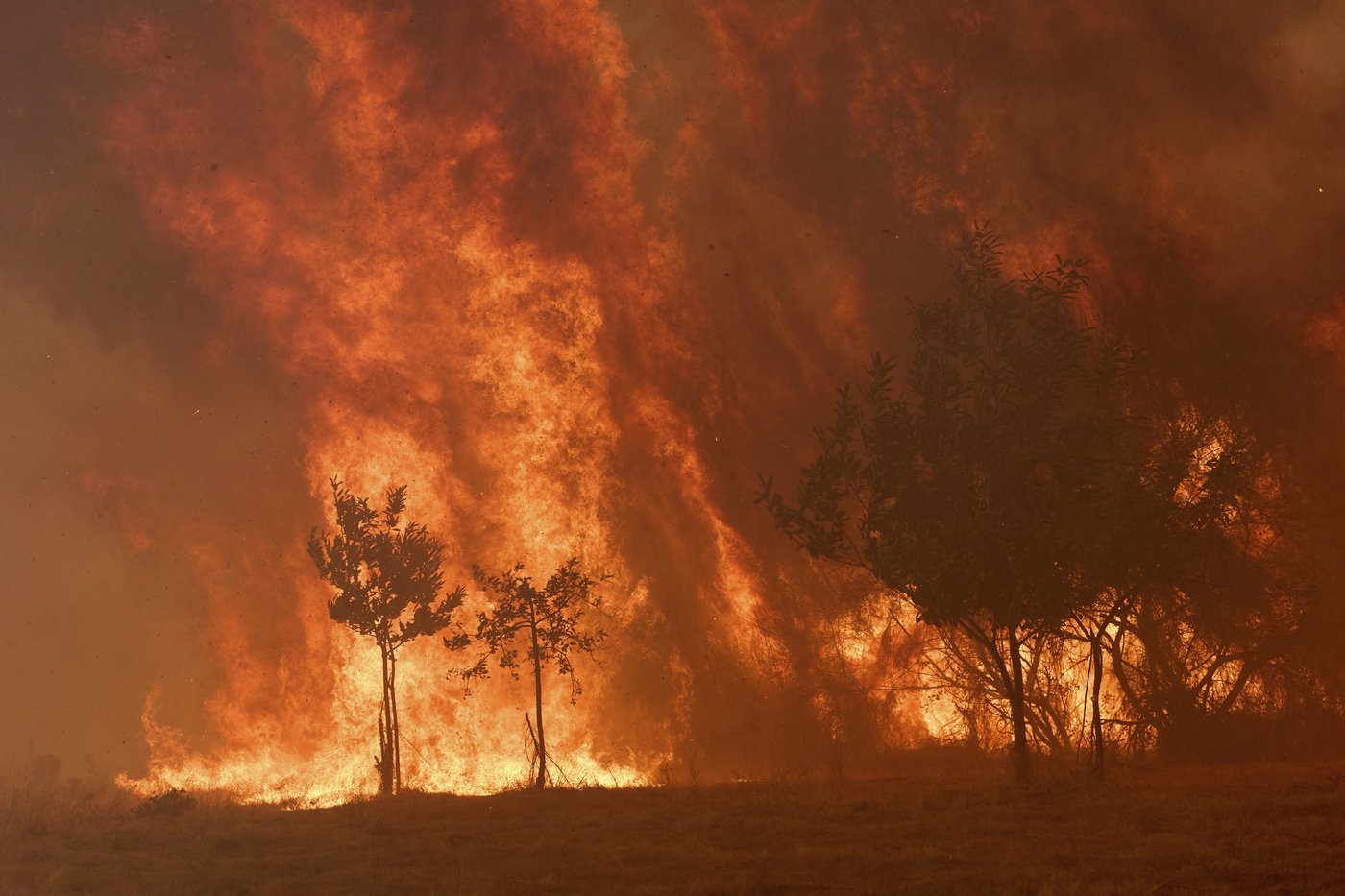 Spain battles one of its most destructive fire seasons even as its heat wave eases | iNFOnews.ca Spain battles one of its most destructive fire seasons even as its heat wave eases | iNFOnews.ca