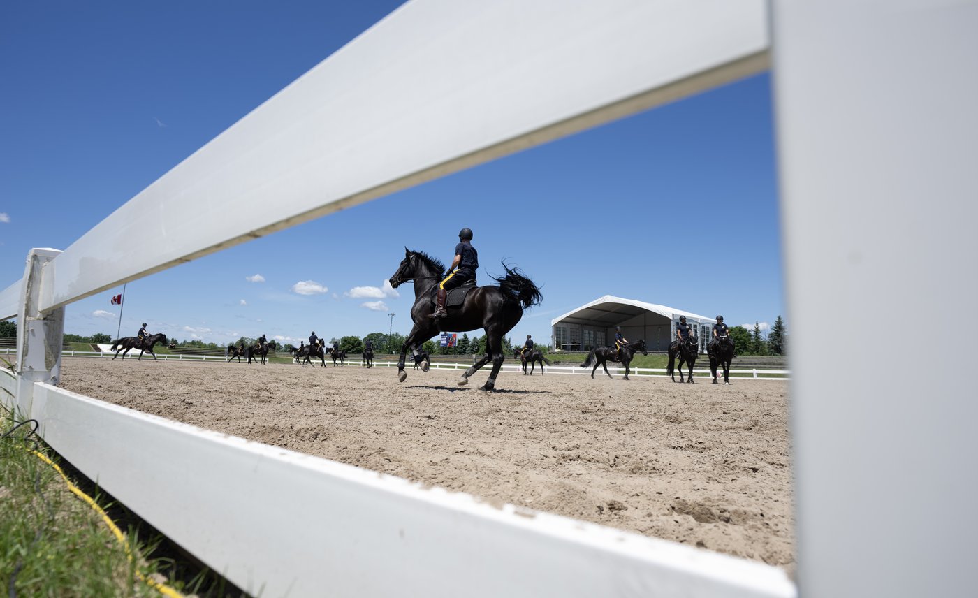 After more than 150 years, the RCMP's Musical Ride is still a living symbol of Canada | iNFOnews.ca After more than 150 years, the RCMP's Musical Ride is still a living symbol of Canada | iNFOnews.ca