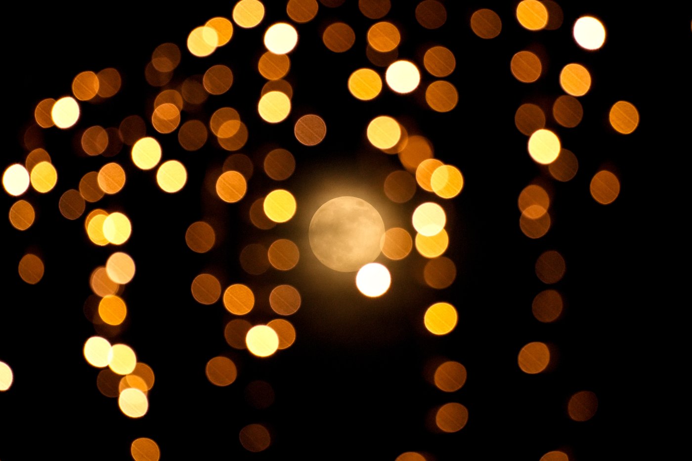 Photos show the last supermoon of the year shining in December skies | iNFOnews.ca