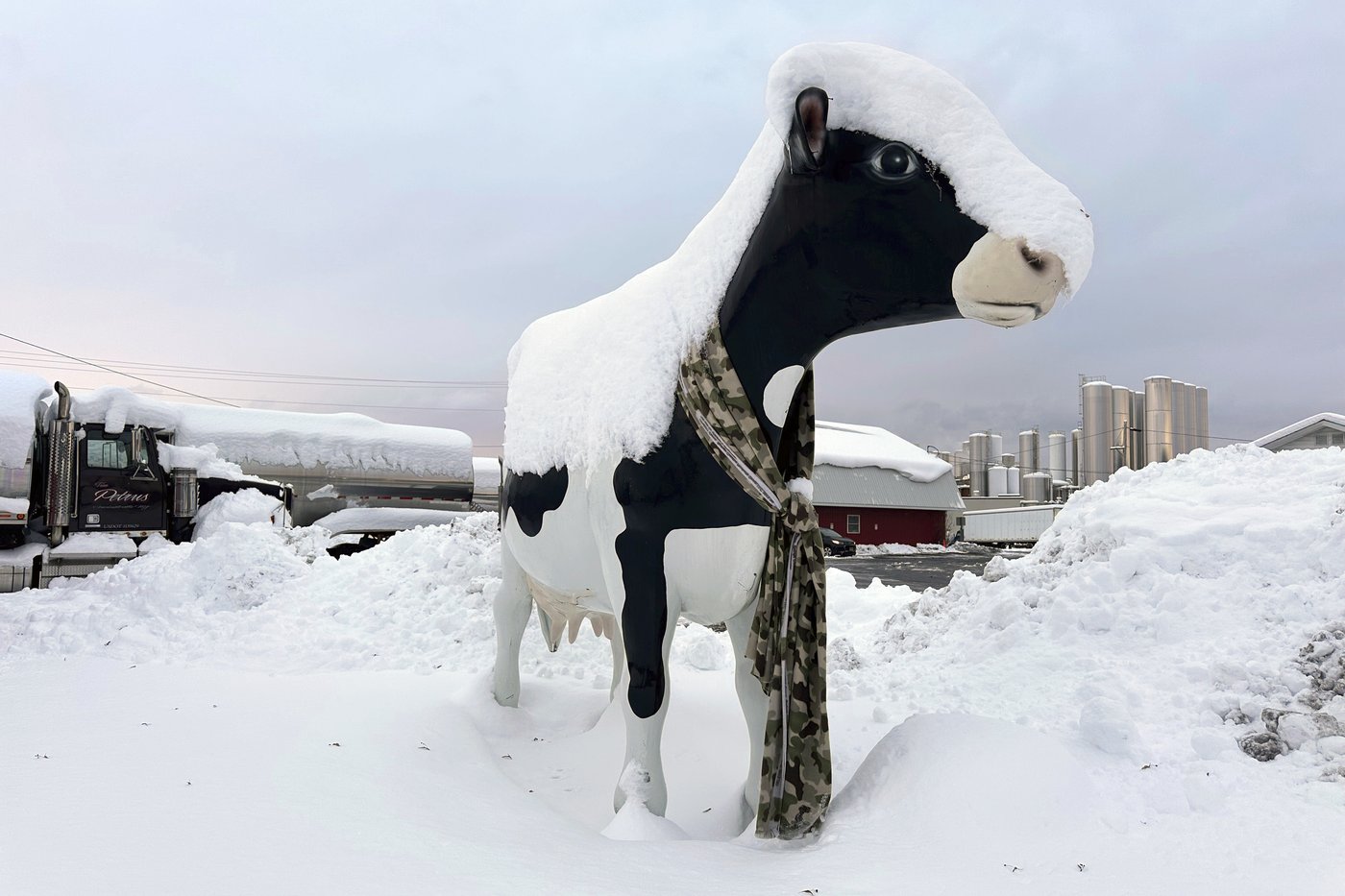 Great Lakes region faces more snow after weekend of harsh holiday weather | iNFOnews.ca