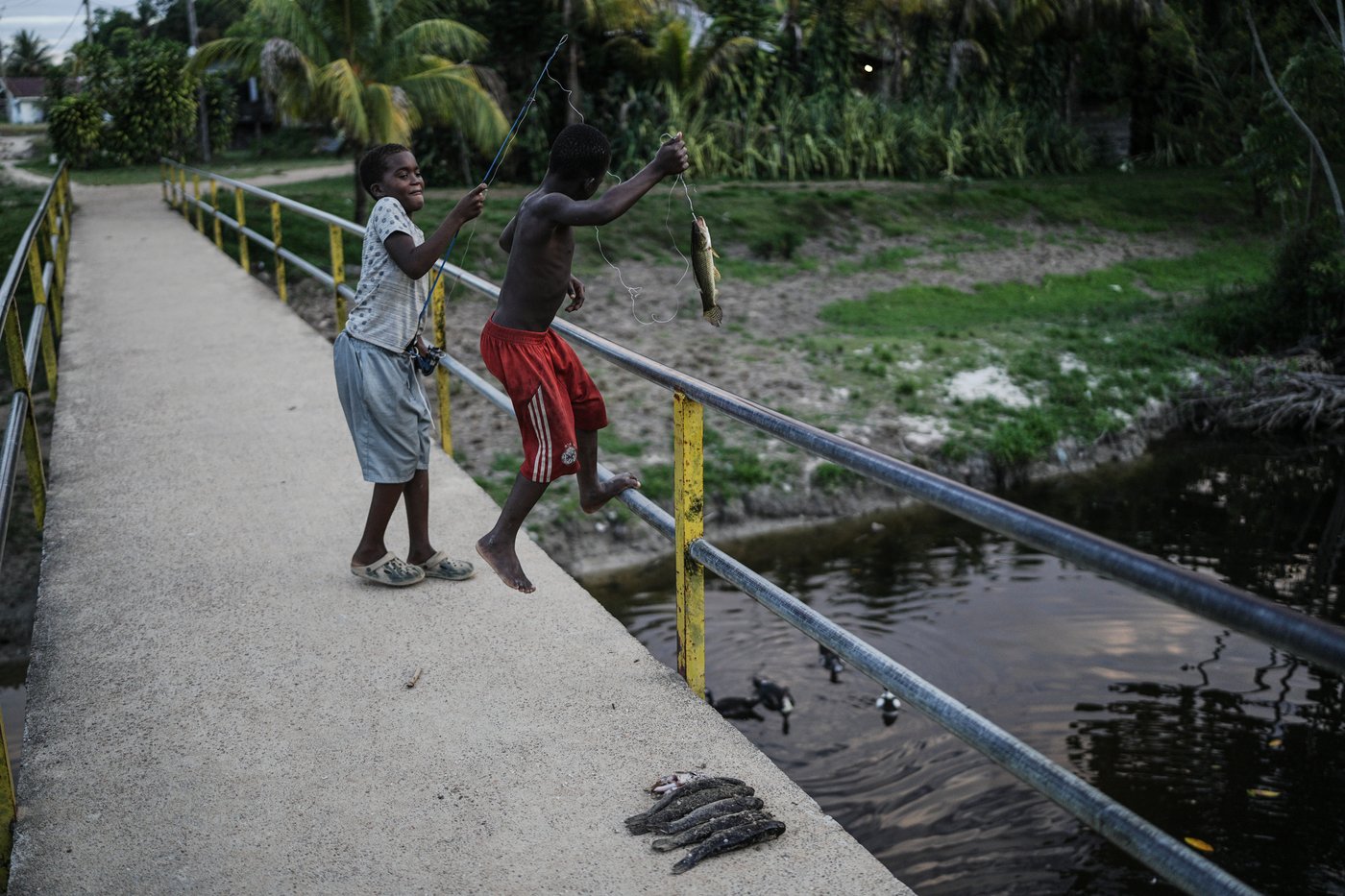 Takeaways from AP's report on how Suriname's Saamaka are fighting to protect their rainforest | iNFOnews.ca Takeaways from AP's report on how Suriname's Saamaka are fighting to protect their rainforest | iNFOnews.ca
