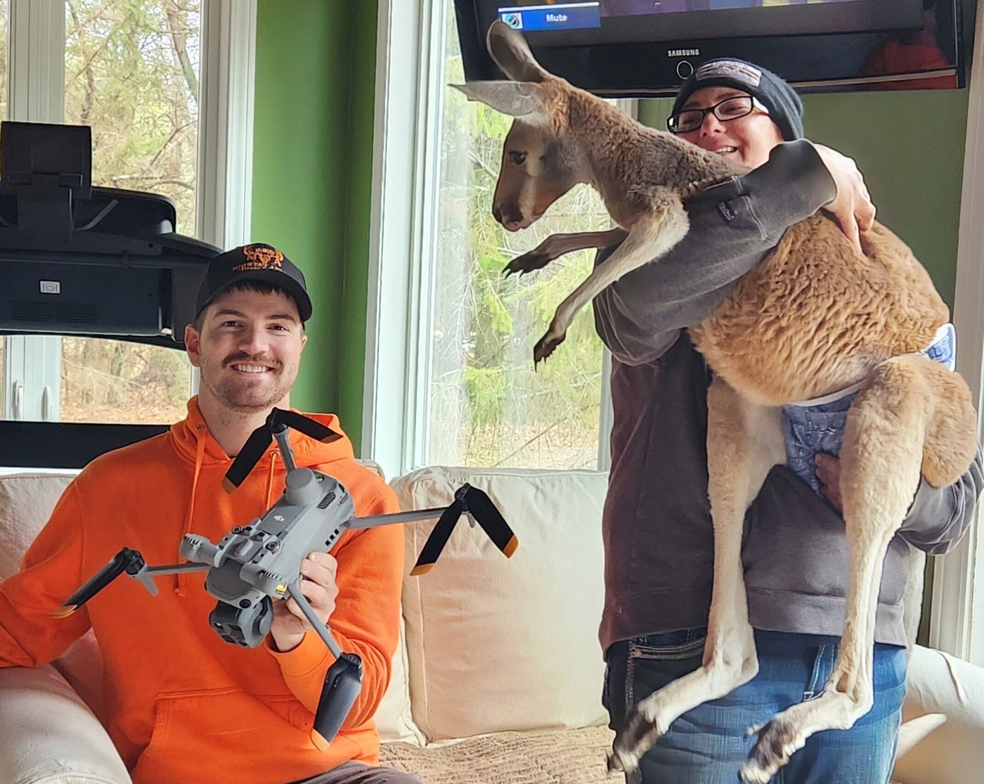 Chesney the kangaroo scales tall fence and flees petting zoo for three days on the lam | iNFOnews.ca