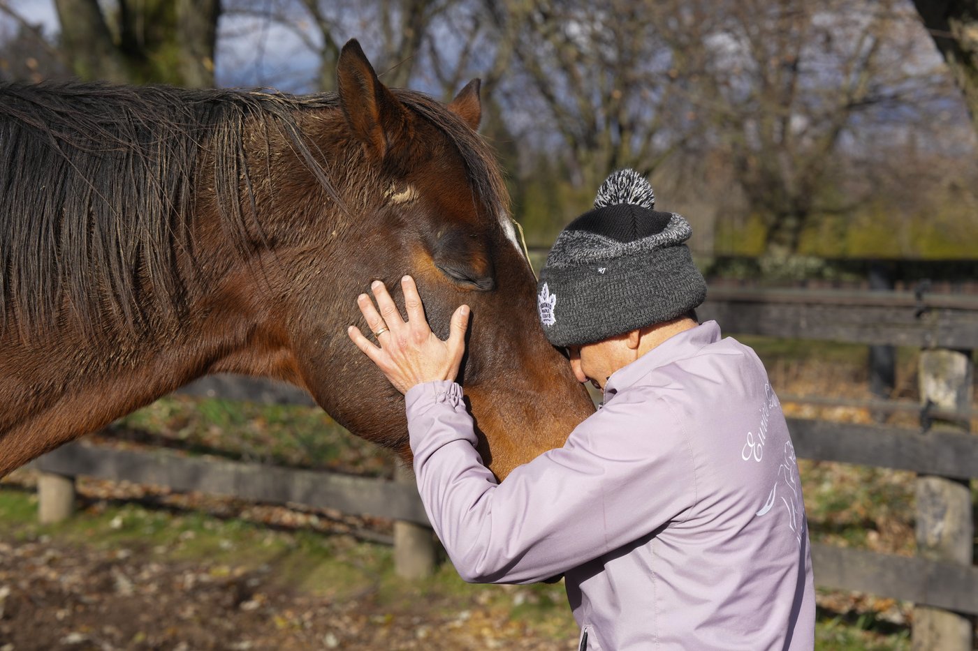 Photo Gallery: Da Silva implementing horses into wellness program | iNFOnews.ca