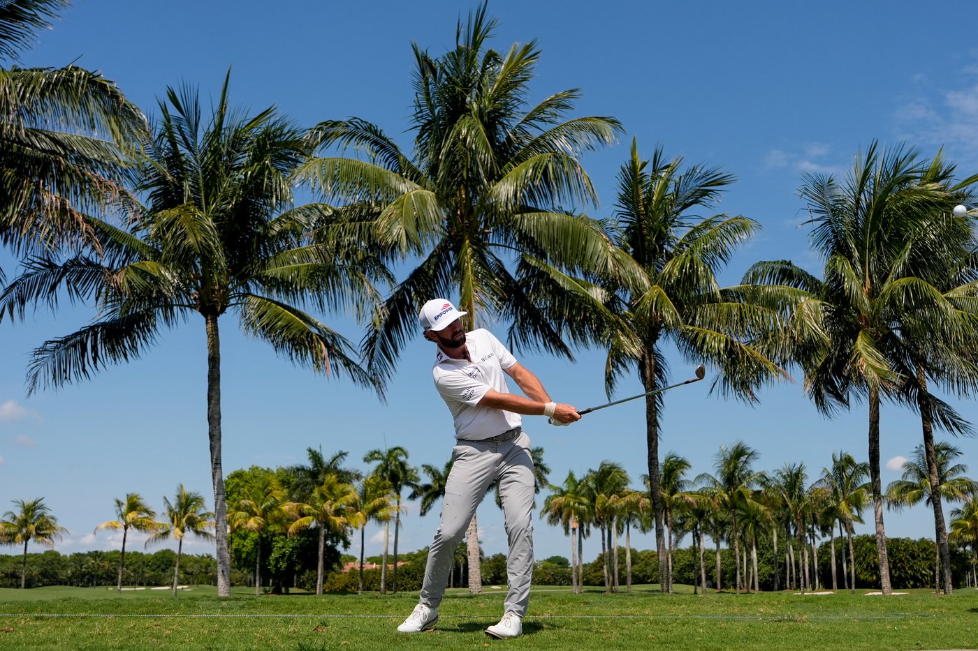 Cameron Young makes big putts to take early lead at Cadillac Championship in tour's Doral return | iNFOnews.ca Cameron Young makes big putts to take early lead at Cadillac Championship in tour's Doral return | iNFOnews.ca