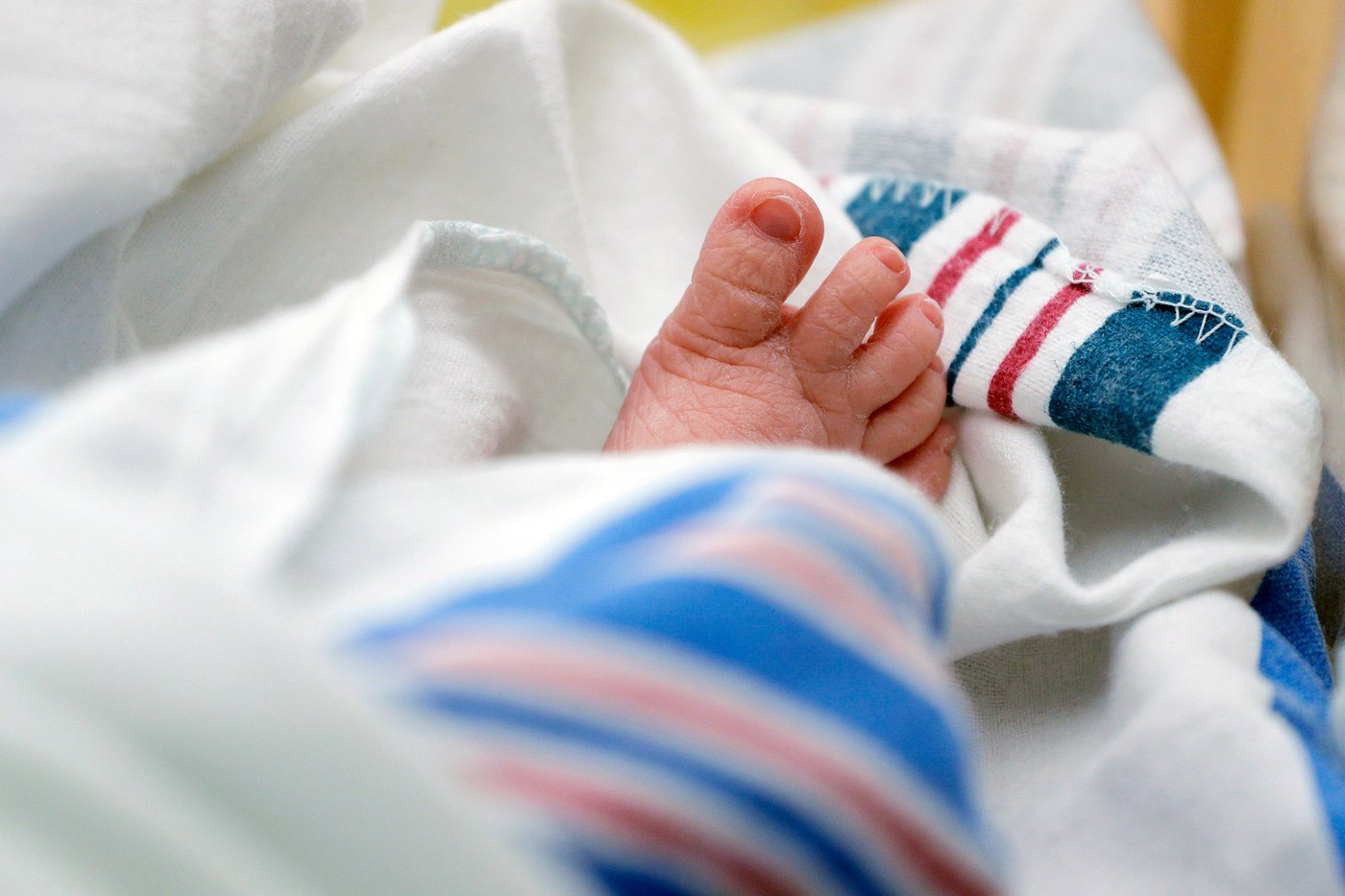 Asian surnames have been the fastest-growing in the US, according to Census Bureau report | iNFOnews.ca Asian surnames have been the fastest-growing in the US, according to Census Bureau report | iNFOnews.ca