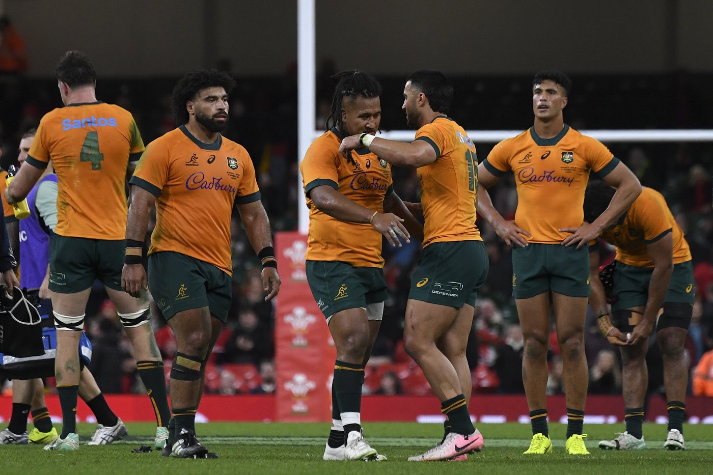 Wing 'wizard' Harry Potter to play for Australia's rugby team. He knows the puns are coming | iNFOnews.ca