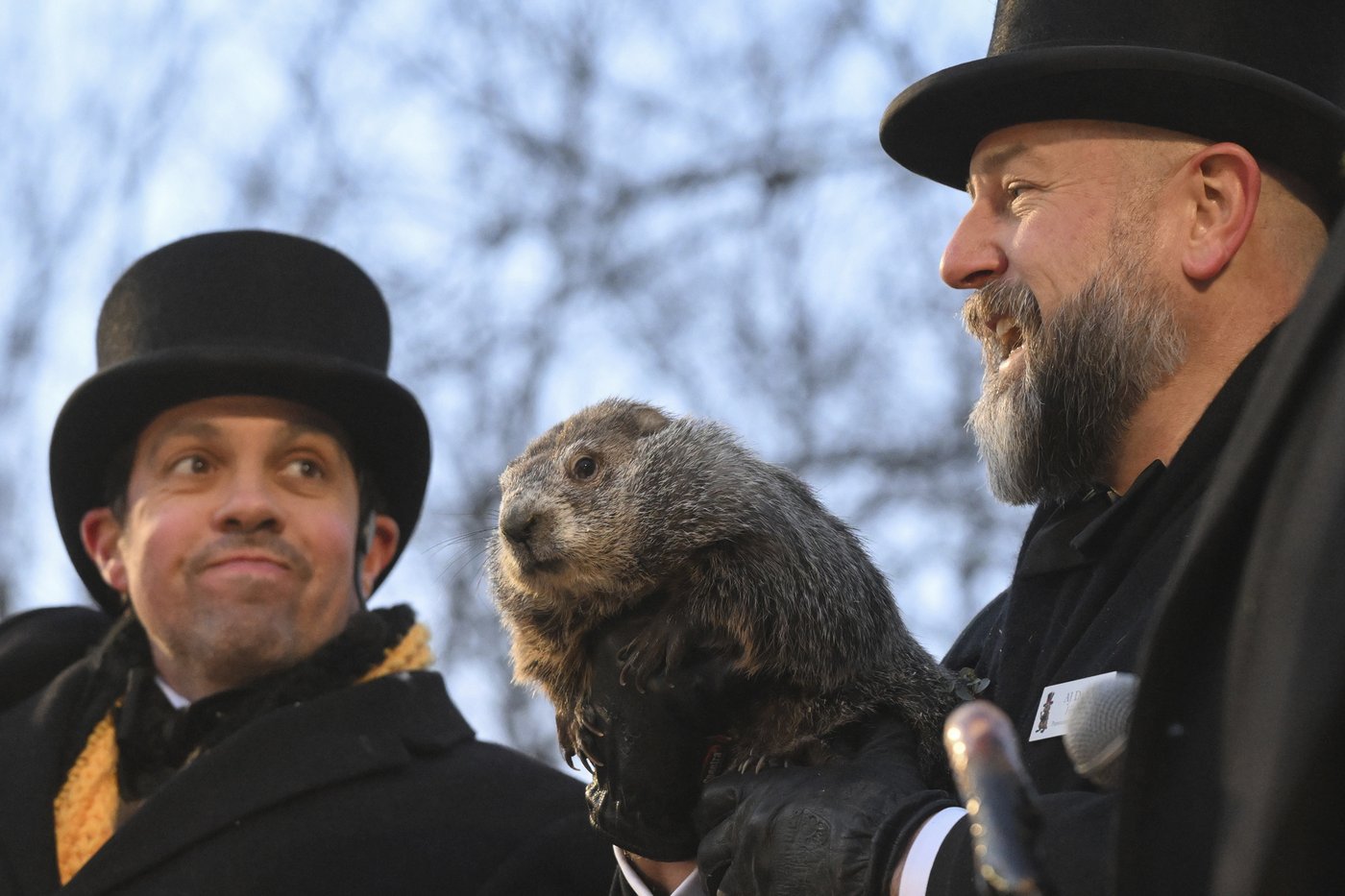Punxsutawney Phil sees his shadow, handlers say, predicting 6 more weeks of wintry weather | iNFOnews.ca