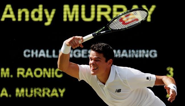 Fans gathered to watch as Canadian Milos Raonic lost his first Grand Slam final | iNFOnews.ca Fans gathered to watch as Canadian Milos Raonic lost his first Grand Slam final | iNFOnews.ca