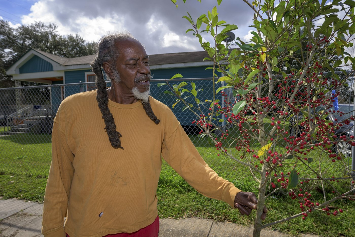 $75 million was awarded to plant trees in places that badly need them. In anti-DEI push, that's over | iNFOnews.ca $75 million was awarded to plant trees in places that badly need them. In anti-DEI push, that's over | iNFOnews.ca