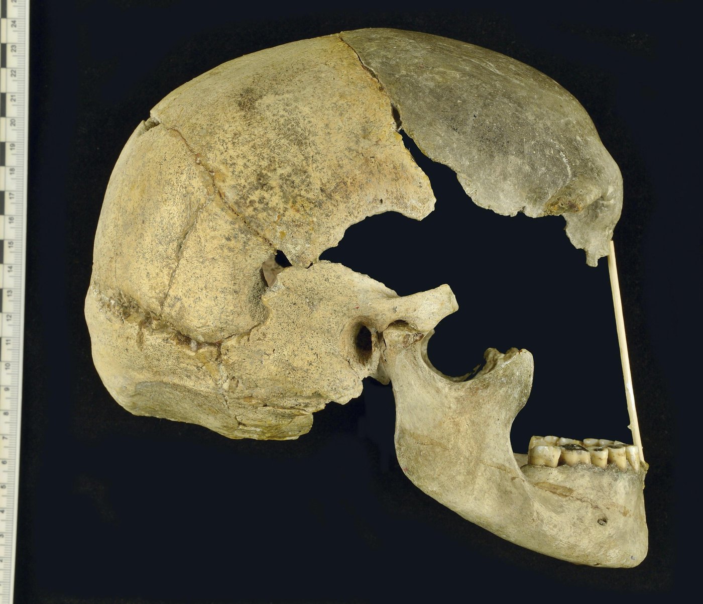 Ancient genes pinpoint when humans and Neanderthals mixed and mingled | iNFOnews.ca Ancient genes pinpoint when humans and Neanderthals mixed and mingled | iNFOnews.ca