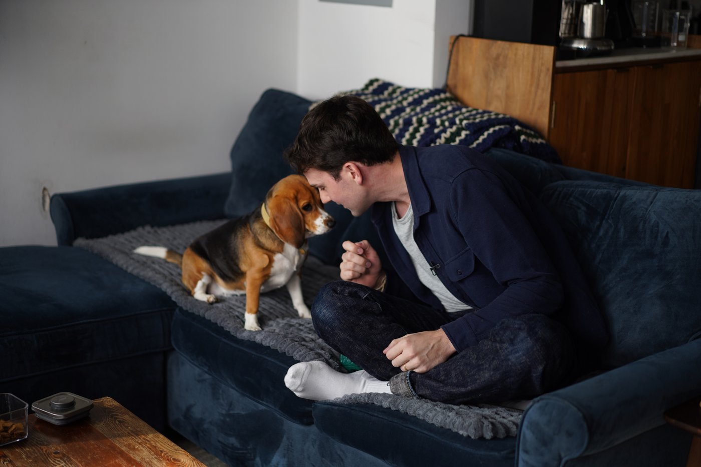 Gene-edited beagles may offer a future option for people with dog allergies | iNFOnews.ca Gene-edited beagles may offer a future option for people with dog allergies | iNFOnews.ca