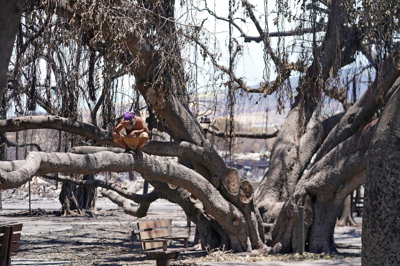 Extreme weather can whip up anxiety. A safety plan can help | iNFOnews.ca