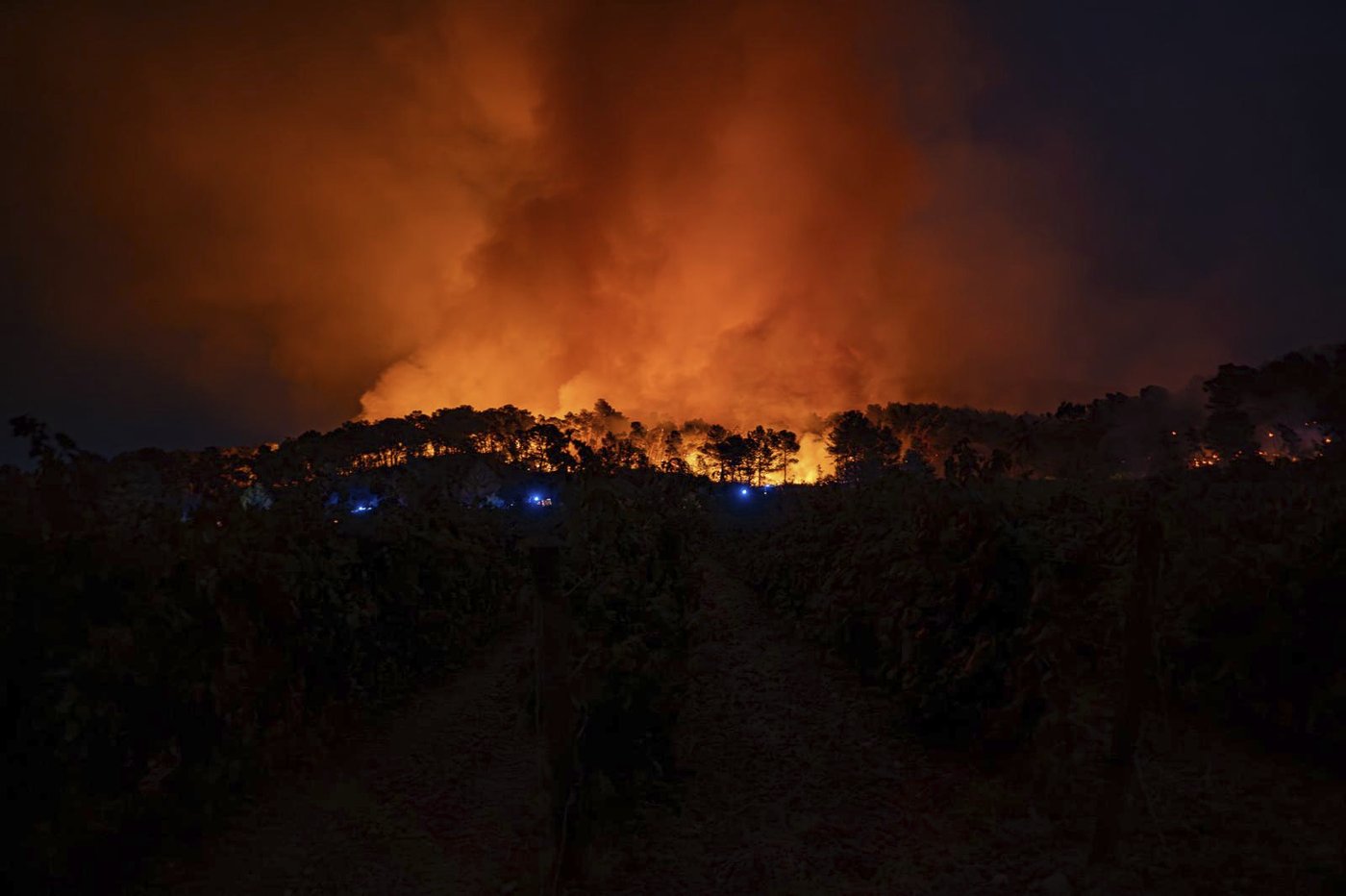 France’s largest wildfire in decades contained after devastating southern region and wine country | iNFOnews.ca