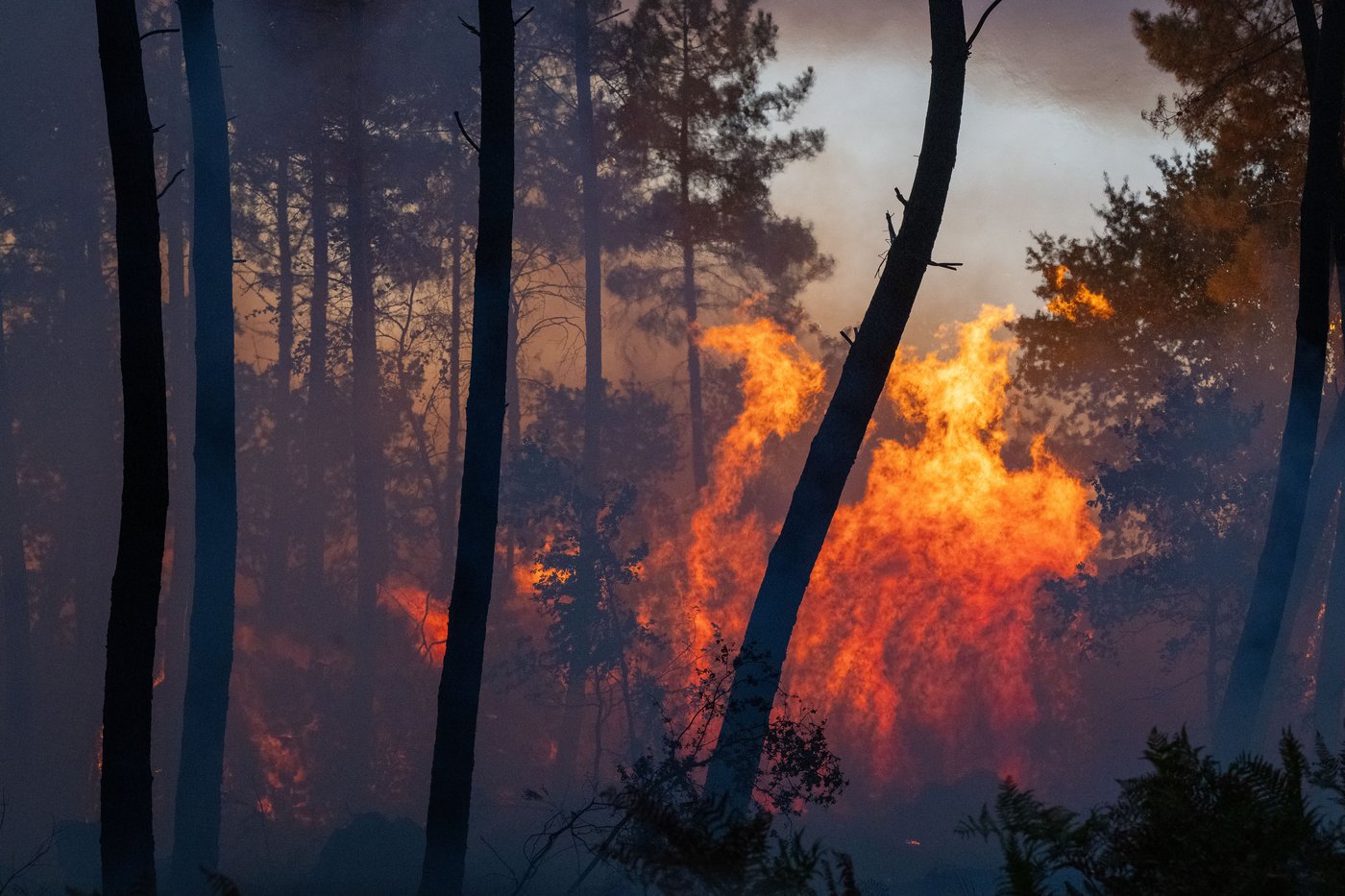 Europe battles fast-moving wildfires sweeping across Spain and France, in photos | iNFOnews.ca
