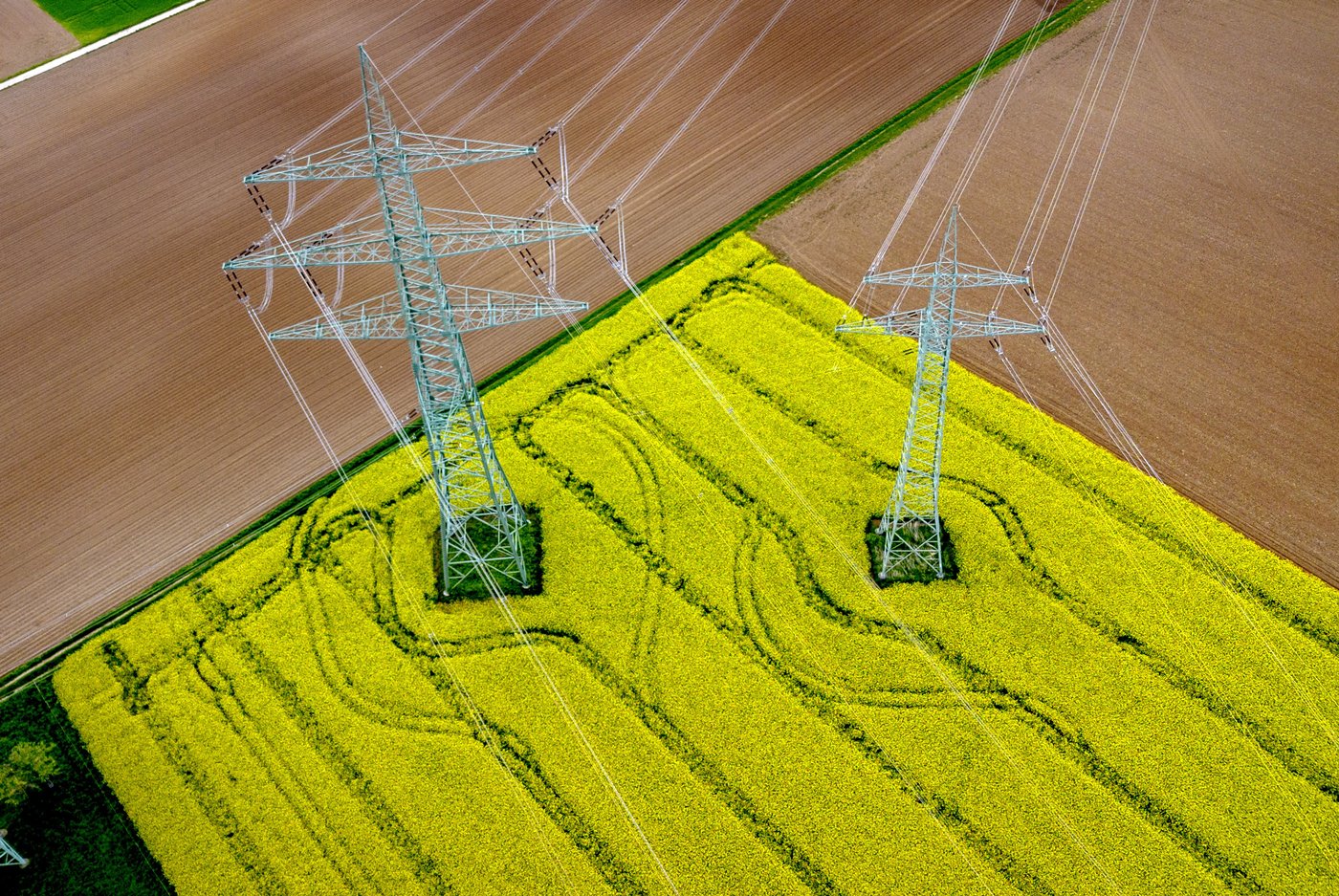 PHOTO COLLECTION: Climate Environment Germany Nature | iNFOnews.ca