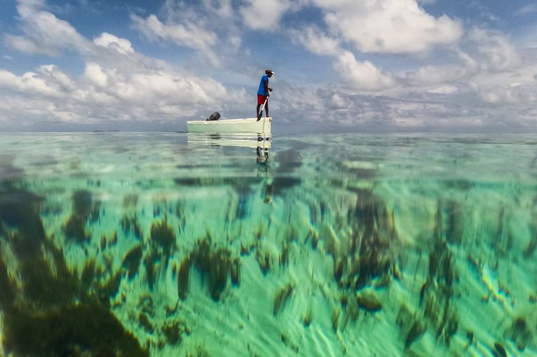 The top photos of the day by AP's photojournalists | iNFOnews.ca