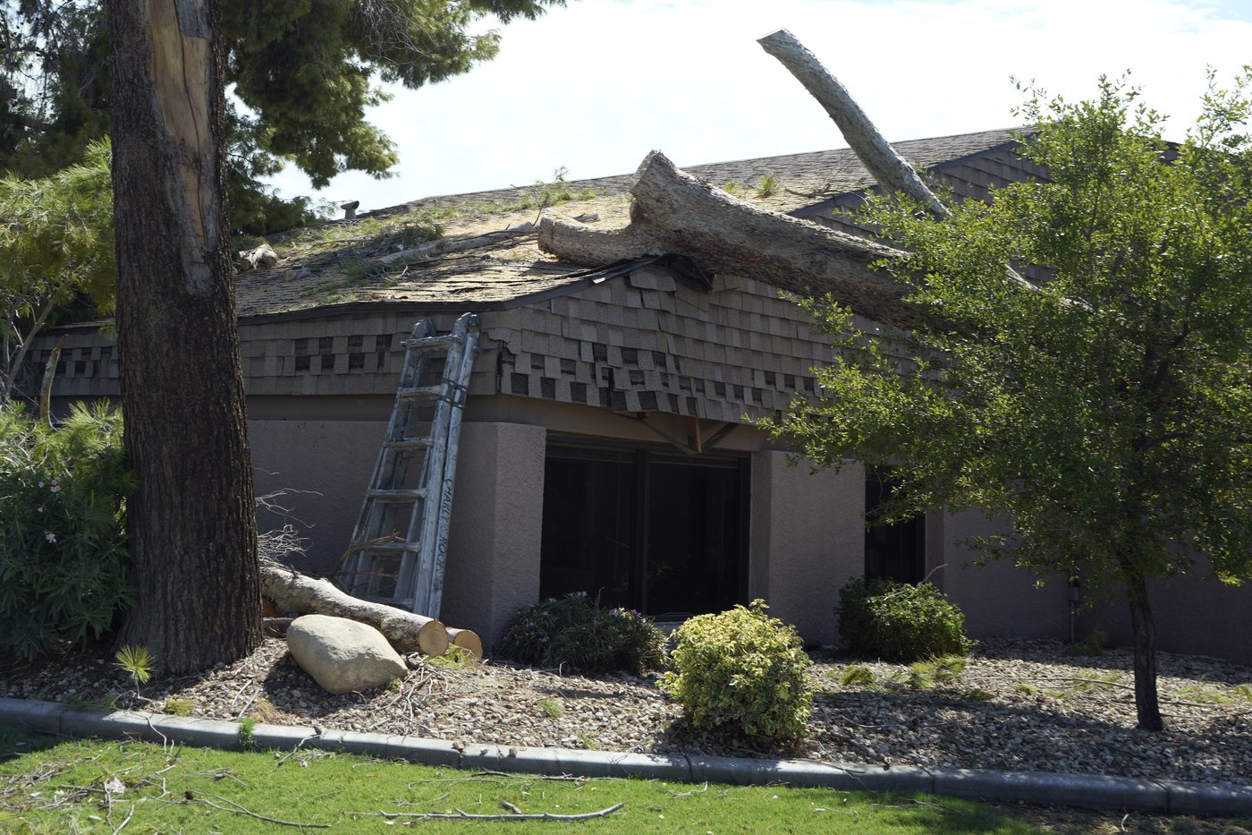 After fearsome dust storm rips Phoenix area, trees cleaned up and power restored | iNFOnews.ca