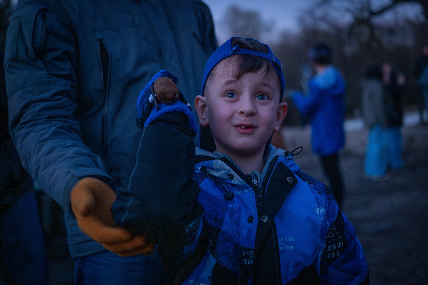 After harsh winter, Ukrainians find joy in releasing bats rescued from war | iNFOnews.ca