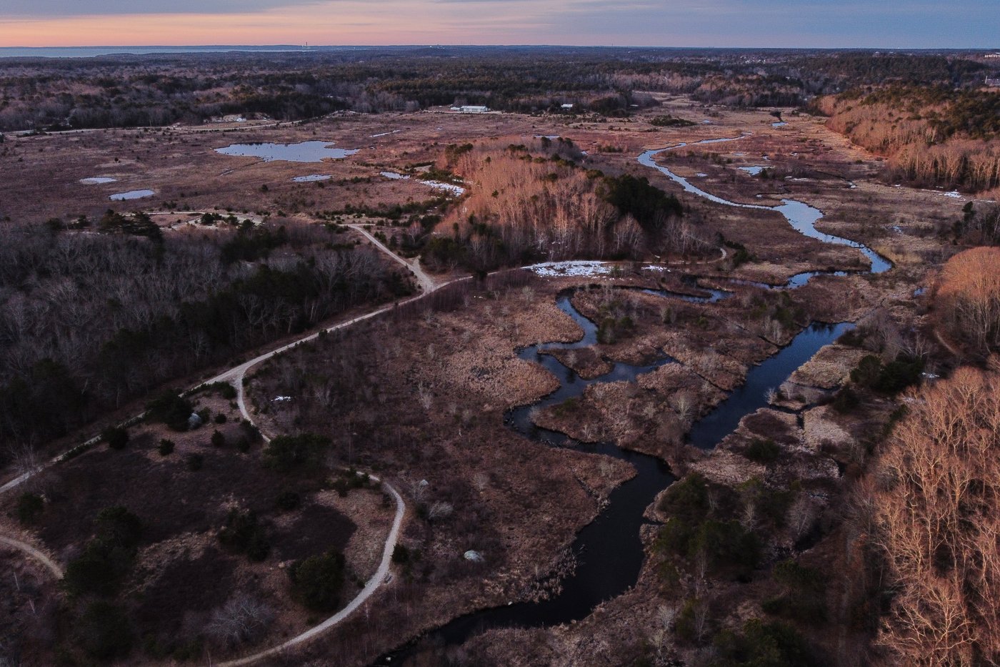 How a retired cranberry bog helped change the game for wetland restoration | iNFOnews.ca How a retired cranberry bog helped change the game for wetland restoration | iNFOnews.ca