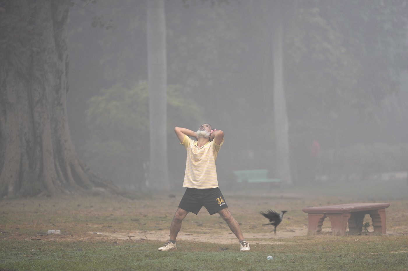 Park regulars in New Delhi's Lodhi Garden say toxic pollution levels won't force them out | iNFOnews.ca