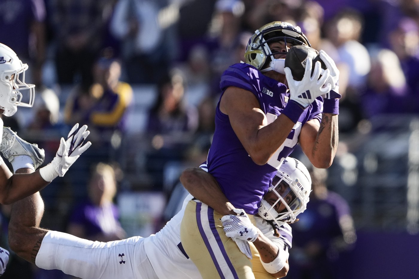 Washington makes emphatic Big Ten debut thumping Northwestern 24-5 | iNFOnews.ca