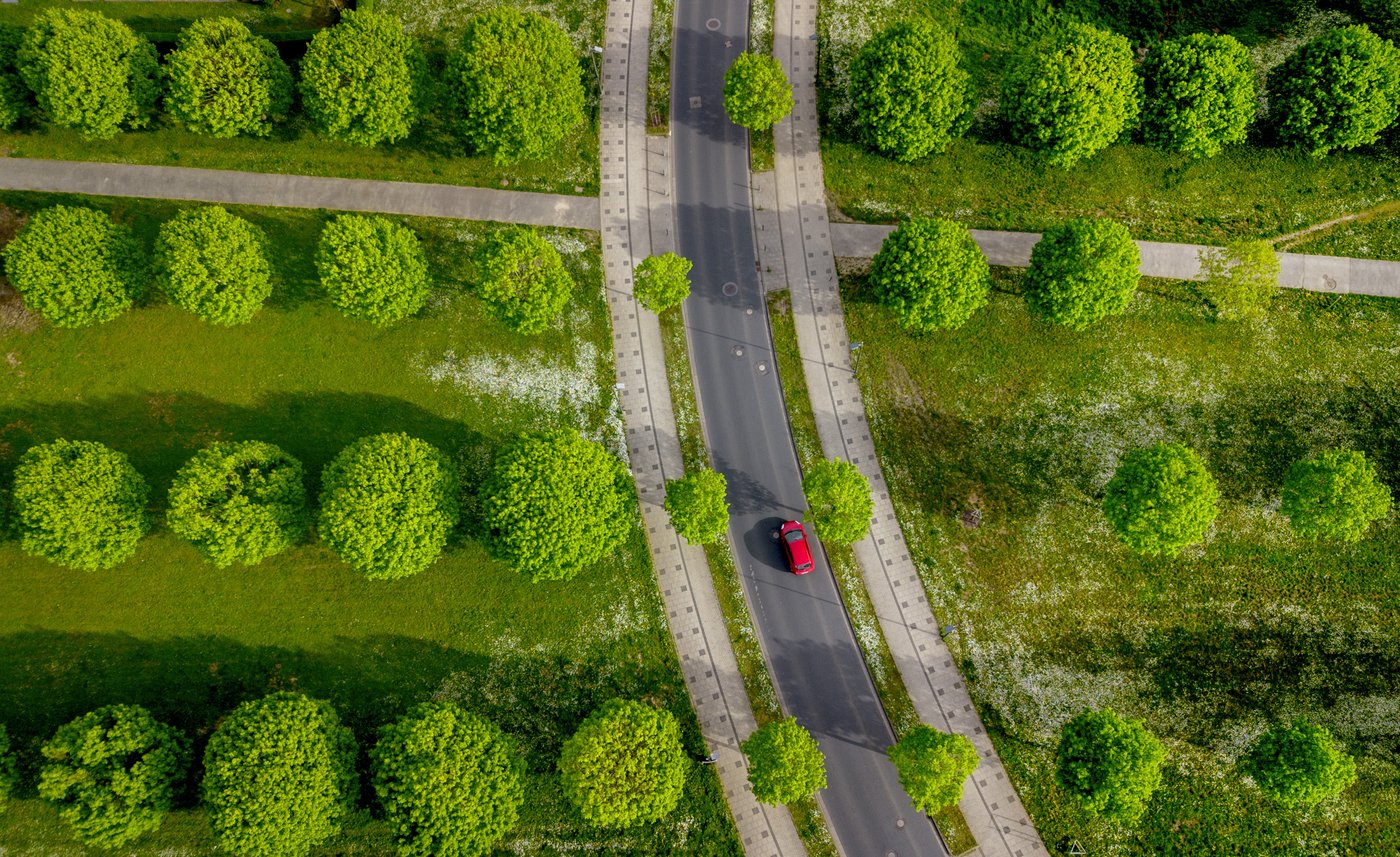 Want to plant trees to offset fossil fuels? You'd need all of North and Central America, study finds | iNFOnews.ca