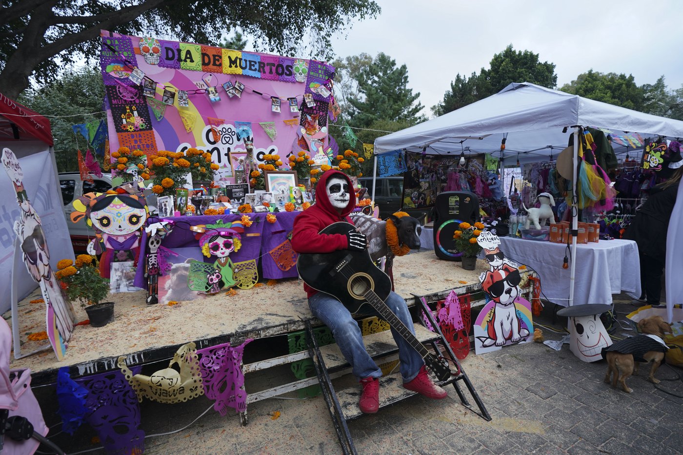 Pets join Mexico's Day of the Dead celebrations, as Fido and Tiger get their own altars | iNFOnews.ca Pets join Mexico's Day of the Dead celebrations, as Fido and Tiger get their own altars | iNFOnews.ca