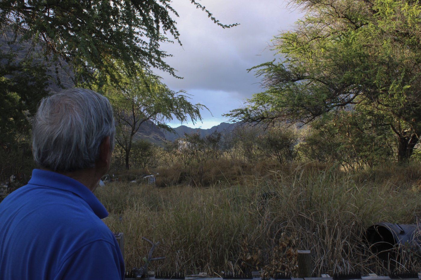 Could this Hawaii community be the next Lahaina? Some residents fear a similar wildfire fate | iNFOnews.ca Could this Hawaii community be the next Lahaina? Some residents fear a similar wildfire fate | iNFOnews.ca