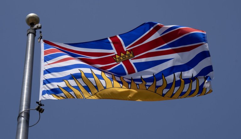 Two planes crash in mid-air near Chilliwack airport, officials say | iNFOnews.ca
