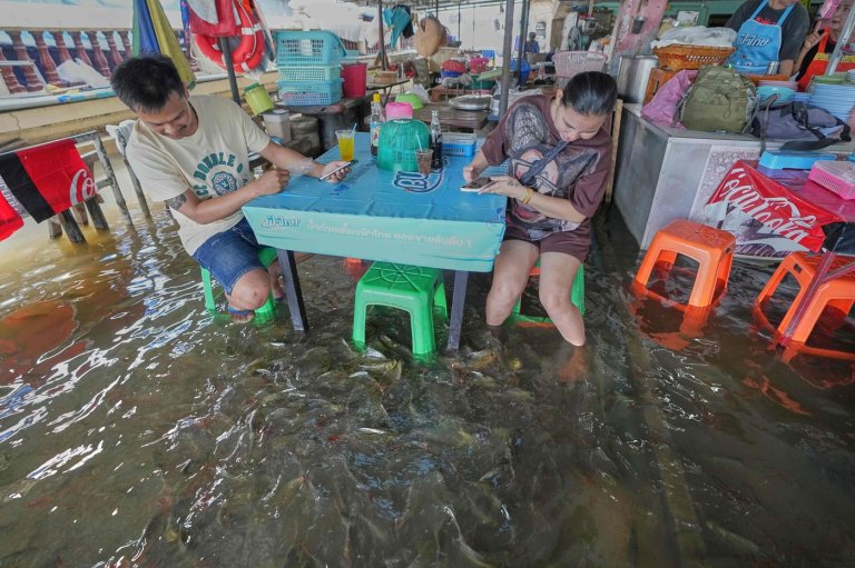 A flooded restaurant in Thailand brings delight with swimming fish among diners | iNFOnews.ca