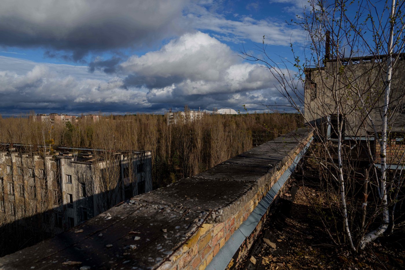 Chernobyl's radioactive landscape is a testament to nature’s resilience and survival spirit | iNFOnews.ca Chernobyl's radioactive landscape is a testament to nature’s resilience and survival spirit | iNFOnews.ca