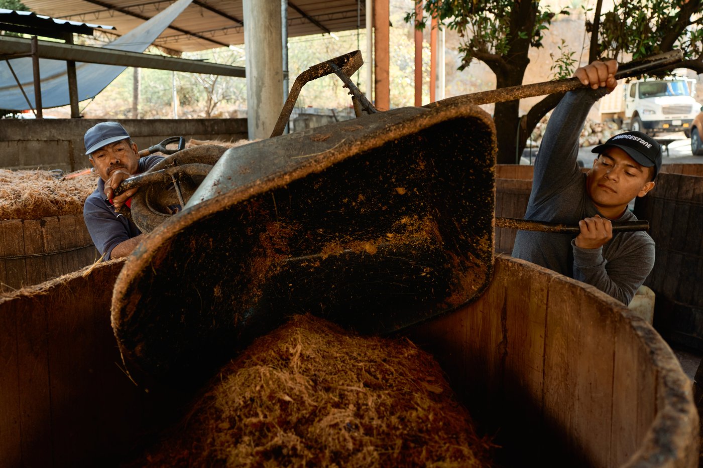 Mezcal's popularity is booming in the US. That comes with a growing environmental cost in Mexico | iNwine