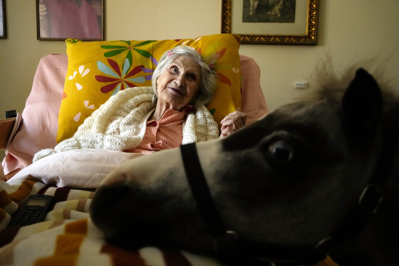 Greece's only miniature therapy horses bring joy to many, but their charity is struggling | iNFOnews.ca