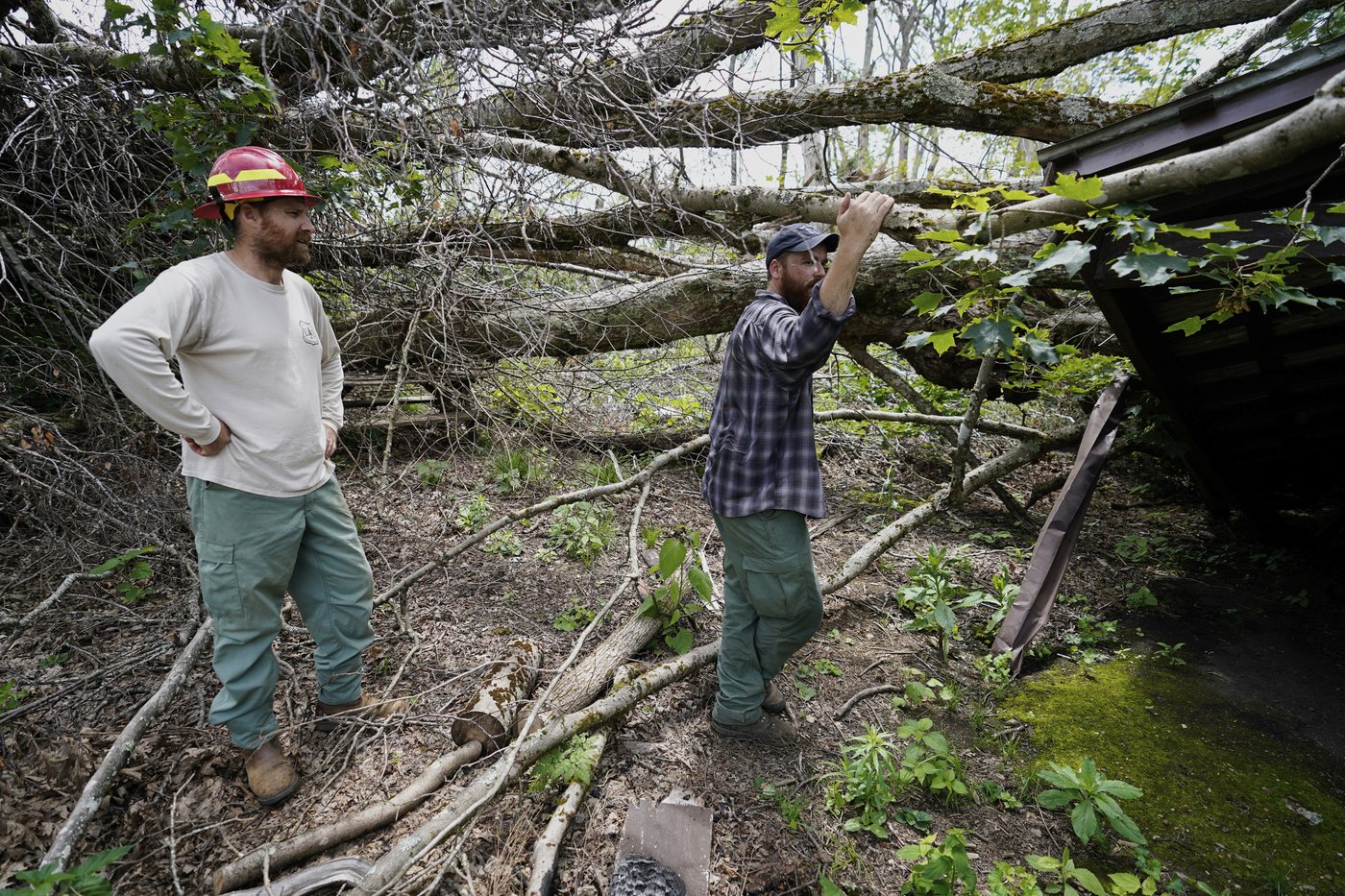 Volunteers repair damaged parts of Appalachian Trail by hand almost a year after Helene | iNFOnews.ca