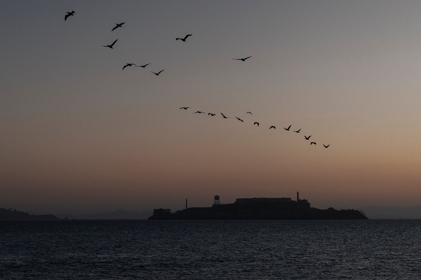 Search and rescue operation for a sunken pontoon boat near Alcatraz Island, in photos | iNFOnews.ca
