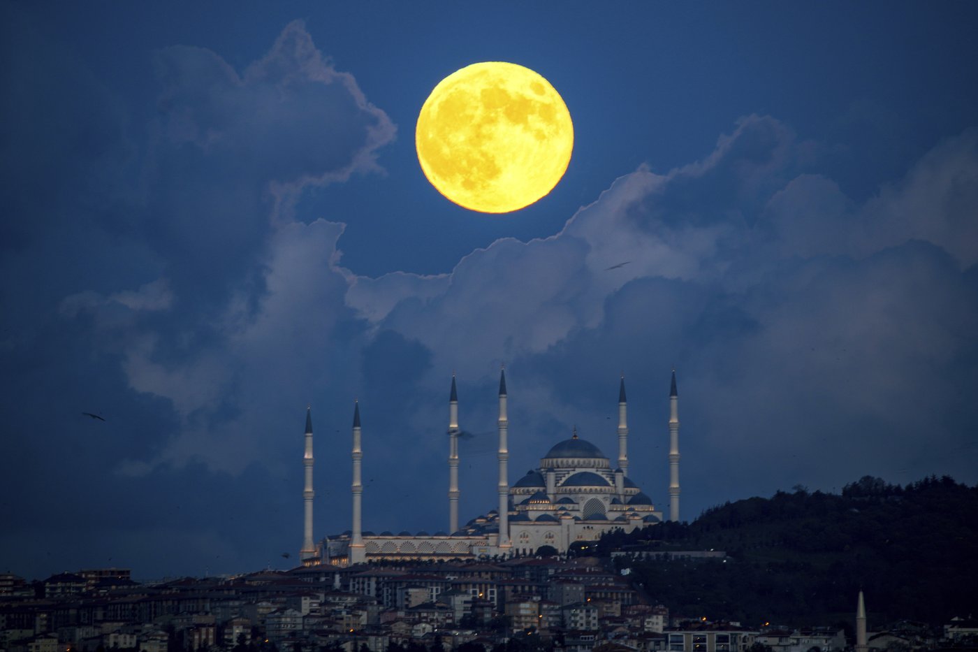 PHOTO COLLECTION: Supermoon | iNFOnews.ca