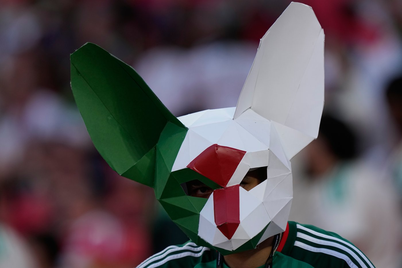 World Cup fans flood stadiums and fan zones with dazzling costumes, facepaint and flags - in photos | iNFOnews.ca