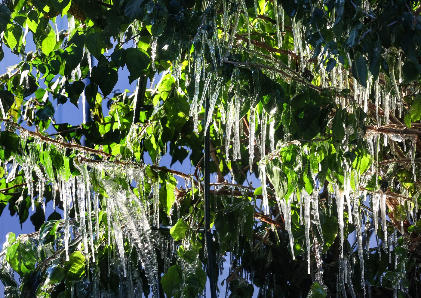 Southern US enters a second week of biting cold and prolonged outages | iNFOnews.ca
